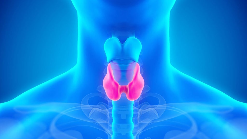 Thyroid Doctor in Jaipur